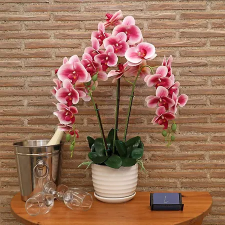 Vatican Loft - Liberty Collection 公寓